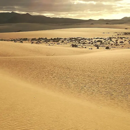 Casa Mar Y Dunas Apartamento *