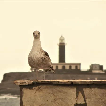 Casa Mar Y Dunas アパート